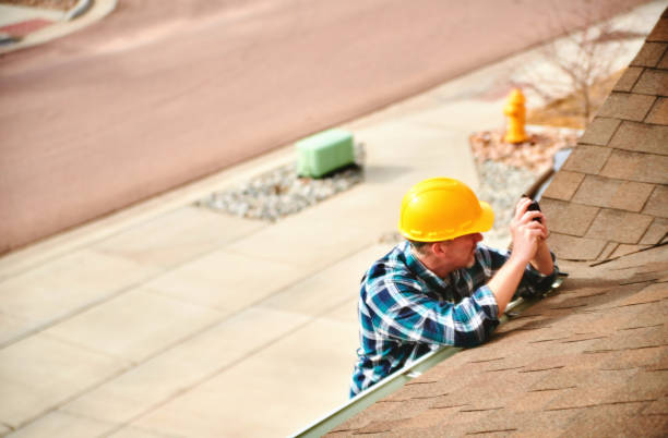 Best Roof Moss and Algae Removal  in Hill N Dale, FL