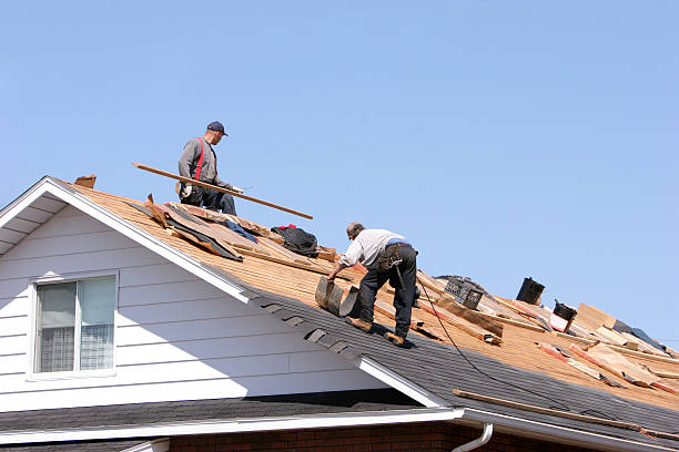 Best Roof Ventilation Installation  in Hill N Dale, FL